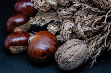 A composition of typically autumnal fruits such as chestnuts and walnuts, enhancing their beauty and detail.