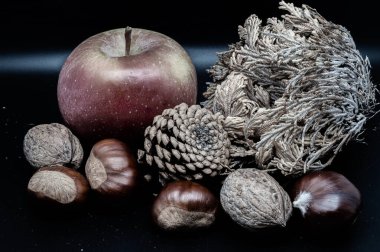 A composition of typically autumnal fruits such as chestnuts, walnuts, persimmons or the Campanian Annurca apple, enhancing their beauty and detail.