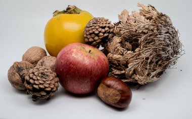 A composition of typically autumnal fruits such as chestnuts, walnuts, persimmons or the Campanian Annurca apple, enhancing their beauty and detail.