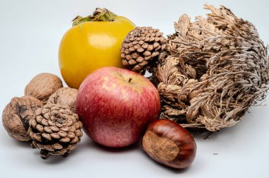 A composition of typically autumnal fruits such as chestnuts, walnuts, persimmons or the Campanian Annurca apple, enhancing their beauty and detail.
