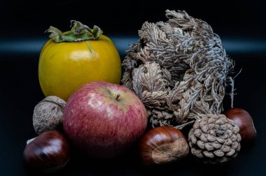 A composition of typically autumnal fruits such as chestnuts, walnuts, persimmons or the Campanian Annurca apple, enhancing their beauty and detail.