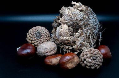 A composition of typically autumnal fruits such as chestnuts, walnuts, persimmons or the Campanian Annurca apple, enhancing their beauty and detail.