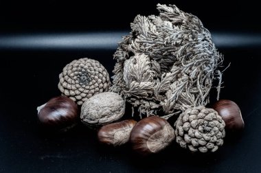 A composition of typically autumnal fruits such as chestnuts, walnuts, persimmons or the Campanian Annurca apple, enhancing their beauty and detail.