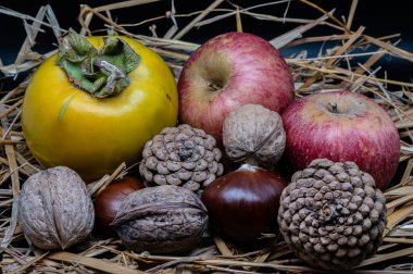 A composition of typically autumnal fruits such as chestnuts, walnuts, persimmons or the Campanian Annurca apple, enhancing their beauty and detail.