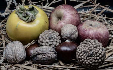 A composition of typically autumnal fruits such as chestnuts, walnuts, persimmons or the Campanian Annurca apple, enhancing their beauty and detail.