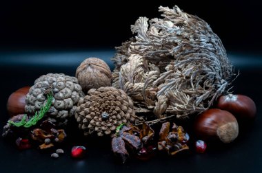 Güzelliklerini ve detaylarını arttıran ceviz ve kestane gibi tipik sonbahar meyvelerinin bileşimi.