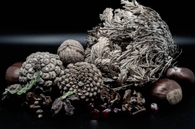 Güzelliklerini ve detaylarını arttıran ceviz ve kestane gibi tipik sonbahar meyvelerinin bileşimi.