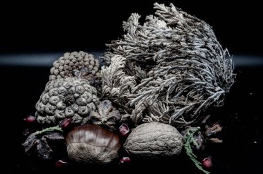 Güzelliklerini ve detaylarını arttıran ceviz ve kestane gibi tipik sonbahar meyvelerinin bileşimi.