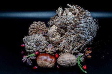 Güzelliklerini ve detaylarını arttıran ceviz ve kestane gibi tipik sonbahar meyvelerinin bileşimi.