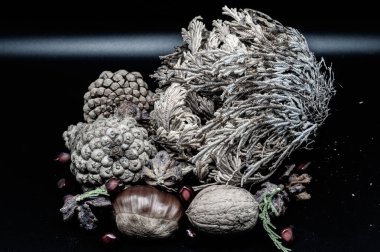 Güzelliklerini ve detaylarını arttıran ceviz ve kestane gibi tipik sonbahar meyvelerinin bileşimi.