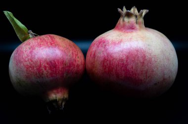 Nar, çok sayıda sulu tohumu (arils) kaplayan kalın bir deriye sahip küresel, koyu kırmızı bir böğürtlen olan nar ağacının (Punica granatum) meyvesidir.).