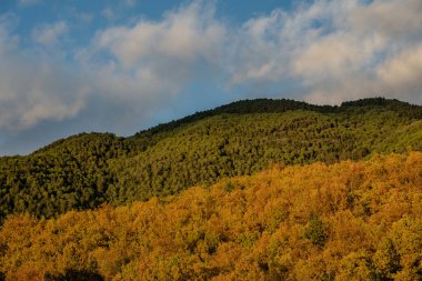 Molise, Adriyatik Denizi 'ne bakan bir İtalyan bölgesidir. Abruzzo Ulusal Parkı 'nın zengin vahşi yaşam ve patikaları olan Appennine dağ sırasındaki bir bölümünü içerir..