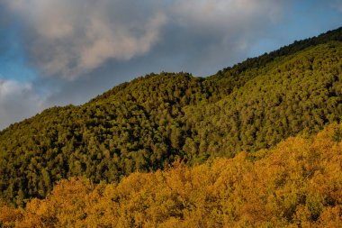 Molise, Adriyatik Denizi 'ne bakan bir İtalyan bölgesidir. Abruzzo Ulusal Parkı 'nın zengin vahşi yaşam ve patikaları olan Appennine dağ sırasındaki bir bölümünü içerir..