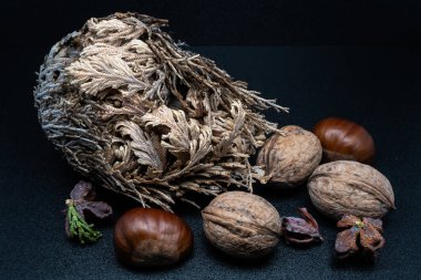 A composition of typically autumnal fruits such as chestnuts and walnuts, enhancing their beauty and detail.