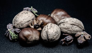 A composition of typically autumnal fruits such as chestnuts and walnuts, enhancing their beauty and detail.