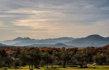 Molise, Adriyatik Denizi 'ne bakan bir İtalyan bölgesidir. Abruzzo Ulusal Parkı 'nın zengin vahşi yaşam ve patikaları olan Appennine dağ sırasındaki bir bölümünü içerir..
