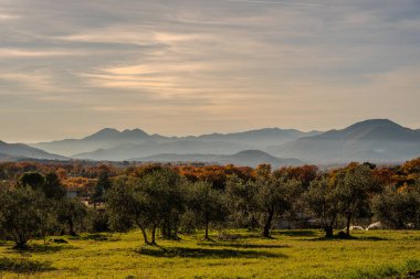 Molise, Adriyatik Denizi 'ne bakan bir İtalyan bölgesidir. Abruzzo Ulusal Parkı 'nın zengin vahşi yaşam ve patikaları olan Appennine dağ sırasındaki bir bölümünü içerir..