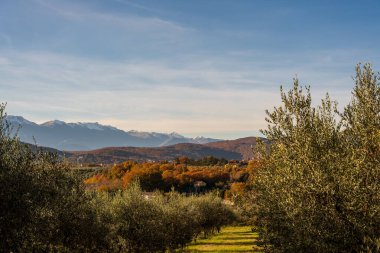 Molise, Adriyatik Denizi 'ne bakan bir İtalyan bölgesidir. Abruzzo Ulusal Parkı 'nın zengin vahşi yaşam ve patikaları olan Appennine dağ sırasındaki bir bölümünü içerir..
