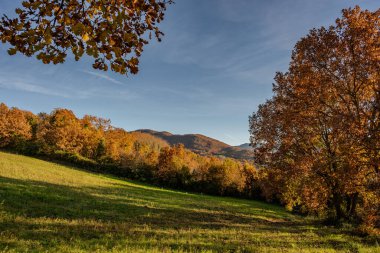 Molise, Adriyatik Denizi 'ne bakan bir İtalyan bölgesidir. Abruzzo Ulusal Parkı 'nın zengin vahşi yaşam ve patikaları olan Appennine dağ sırasındaki bir bölümünü içerir..