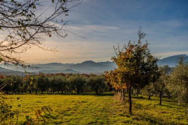 Molise, Adriyatik Denizi 'ne bakan bir İtalyan bölgesidir. Abruzzo Ulusal Parkı 'nın zengin vahşi yaşam ve patikaları olan Appennine dağ sırasındaki bir bölümünü içerir..