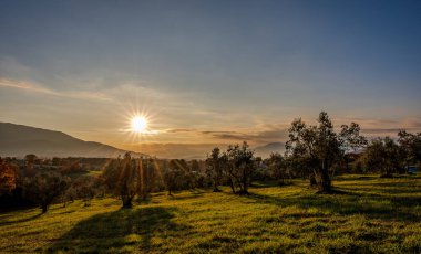 Günbatımı, özellikle Molise ve Isernia gibi bazı İtalyan bölgelerinde, kalbi neşe ve huzurla dolduran büyülü bir andır.