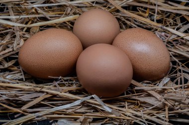 Yumurta, dünyanın dört bir yanındaki mutfaklardan doğrudan ya da çeşitli yemeklerde doğrudan tüketilebilen bir besindir..