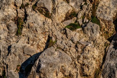 Kireç taşı, ana bileşeni mineral kalsit olan tortulu bir kayadır. Kireç taşı yatakları az ya da çok kil ya da kuartzit kirliliği ile iç içe geçmiştir..