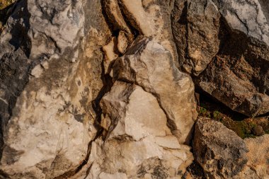 Kireç taşı, ana bileşeni mineral kalsit olan tortulu bir kayadır. Kireç taşı yatakları az ya da çok kil ya da kuartzit kirliliği ile iç içe geçmiştir..