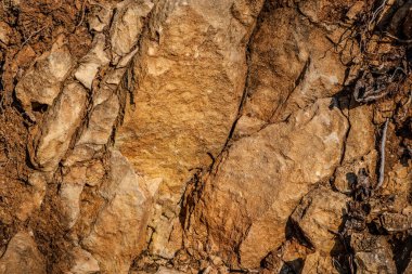 Kireç taşı, ana bileşeni mineral kalsit olan tortulu bir kayadır. Kireç taşı yatakları az ya da çok kil ya da kuartzit kirliliği ile iç içe geçmiştir..