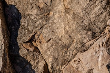 Kireç taşı, ana bileşeni mineral kalsit olan tortulu bir kayadır. Kireç taşı yatakları az ya da çok kil ya da kuartzit kirliliği ile iç içe geçmiştir..