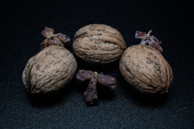 Yine de hayat, bir öyküsü olmayan, insan eylemlerini ve olaylarını tasvir etmeyen, meyve ya da yiyecek gibi cansız şeyleri temsil eden bir türdür.