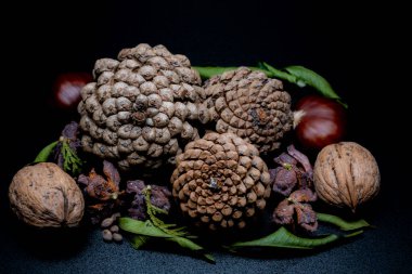 Yine de hayat, bir öyküsü olmayan, insan eylemlerini ve olaylarını tasvir etmeyen, meyve ya da yiyecek gibi cansız şeyleri temsil eden bir türdür.