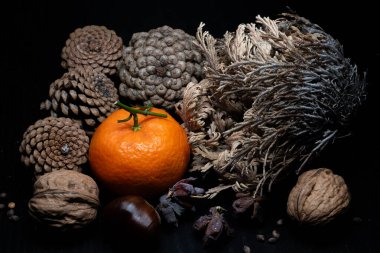 Yine de hayat, bir öyküsü olmayan, insan eylemlerini ve olaylarını tasvir etmeyen, meyve ya da yiyecek gibi cansız şeyleri temsil eden bir türdür.