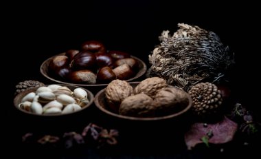 Yine de hayat, bir öyküsü olmayan, insan eylemlerini ve olaylarını tasvir etmeyen, meyve ya da yiyecek gibi cansız şeyleri temsil eden bir türdür.