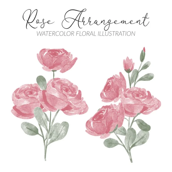 Rózsa Virág Akvarell Elrendezése Levél Illusztráció — Stock Vector