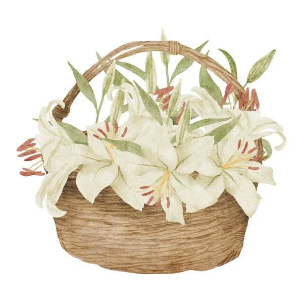 Aquarell Tropische Lilie Blumenstrauß Korb Illustration — Stockvektor