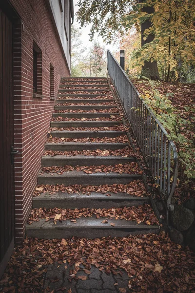 Schody Pokryte Brązowymi Liśćmi Jesienią — Zdjęcie stockowe