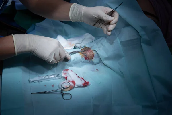 Een Chirurg Hecht Een Kleine Wond Aan Een Patiënt Met — Stockfoto