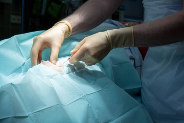Bir doktor, bir kanül ve şırıngayla bir ameliyathanede diz delinmesi yapar.