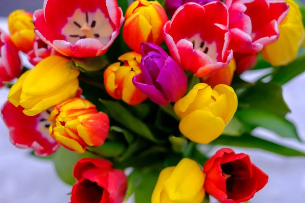 Buquê Com Muitas Tulipas Coloridas Fica Vaso Uma Mesa — Fotografia de Stock