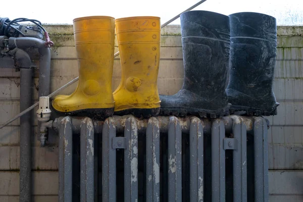 two different pairs of rubber boots stand to dry on a radiator