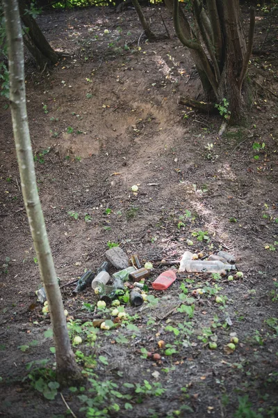 Niedbale Wyrzucone Butelki Śmieci Leżą Poboczu Drogi — Zdjęcie stockowe