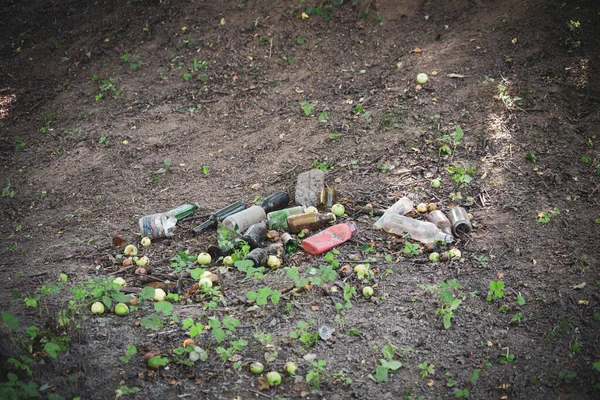 Niedbale Wyrzucone Butelki Śmieci Leżą Poboczu Drogi — Zdjęcie stockowe