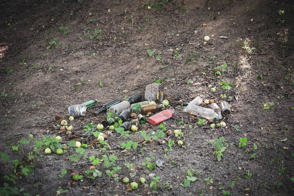 Botellas Descartadas Descuidadamente Basura Encuentran Borde Carretera —  Fotos de Stock