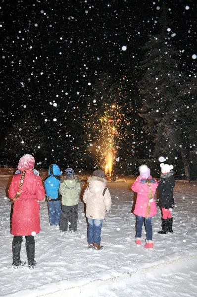 Bakın çocuklar küçük bir havai fişek karlı bir gecede