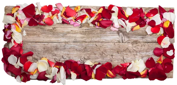 Petals of roses on table wooden top view panoramic isolated on white with clipping path — Stock Photo, Image