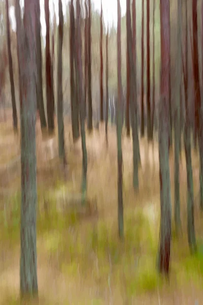 Vecteur forêt flou fond abstrait — Image vectorielle