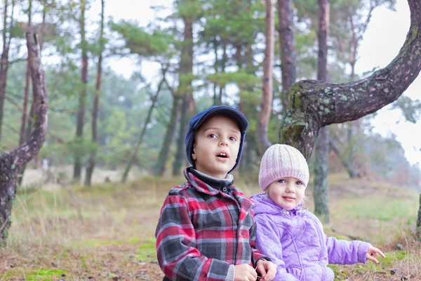 Children two brother sister together forest outdoor — Stock Photo, Image