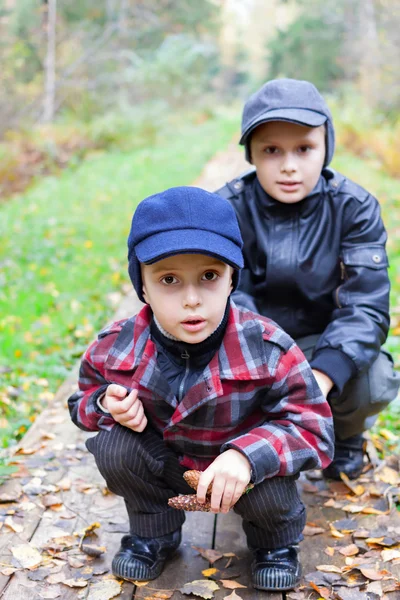 Bratři chlapci dva sedí silnici podzim lesní — Stock fotografie