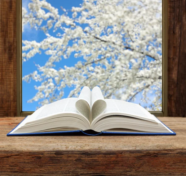 Libro corazón forma página ventana abierta primavera floración cereza vista —  Fotos de Stock